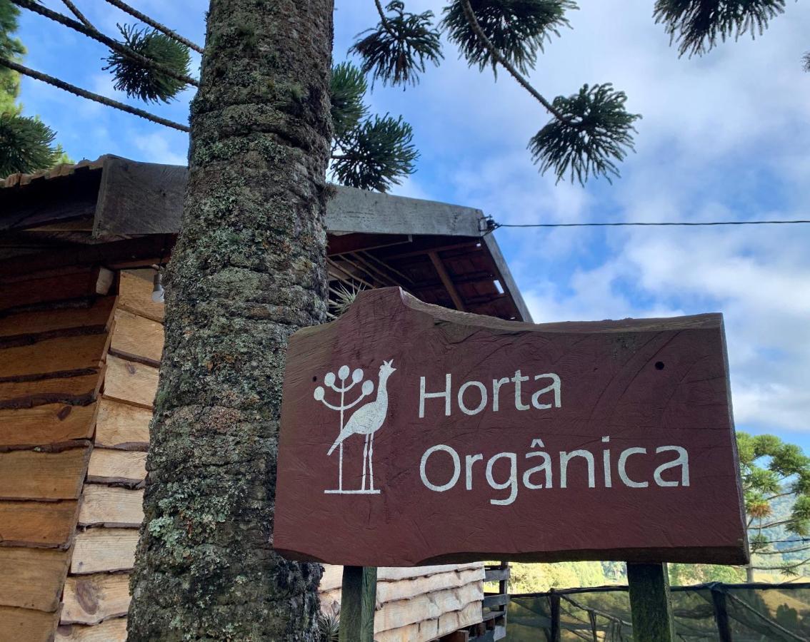 Paraiso Na Montanha, Sitio Siriema Casa de férias *