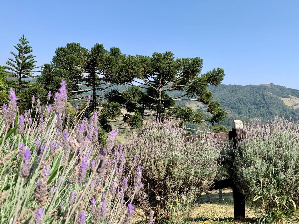 Paraiso Na Montanha, Sitio Siriema Casa de férias Campos do Jordão