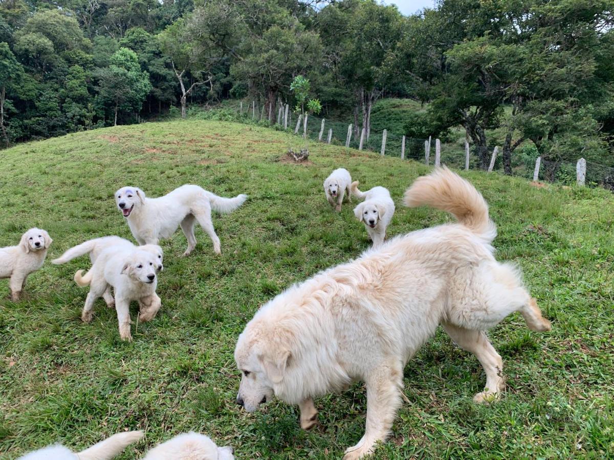 Paraiso Na Montanha, Sitio Siriema Campos do Jordão