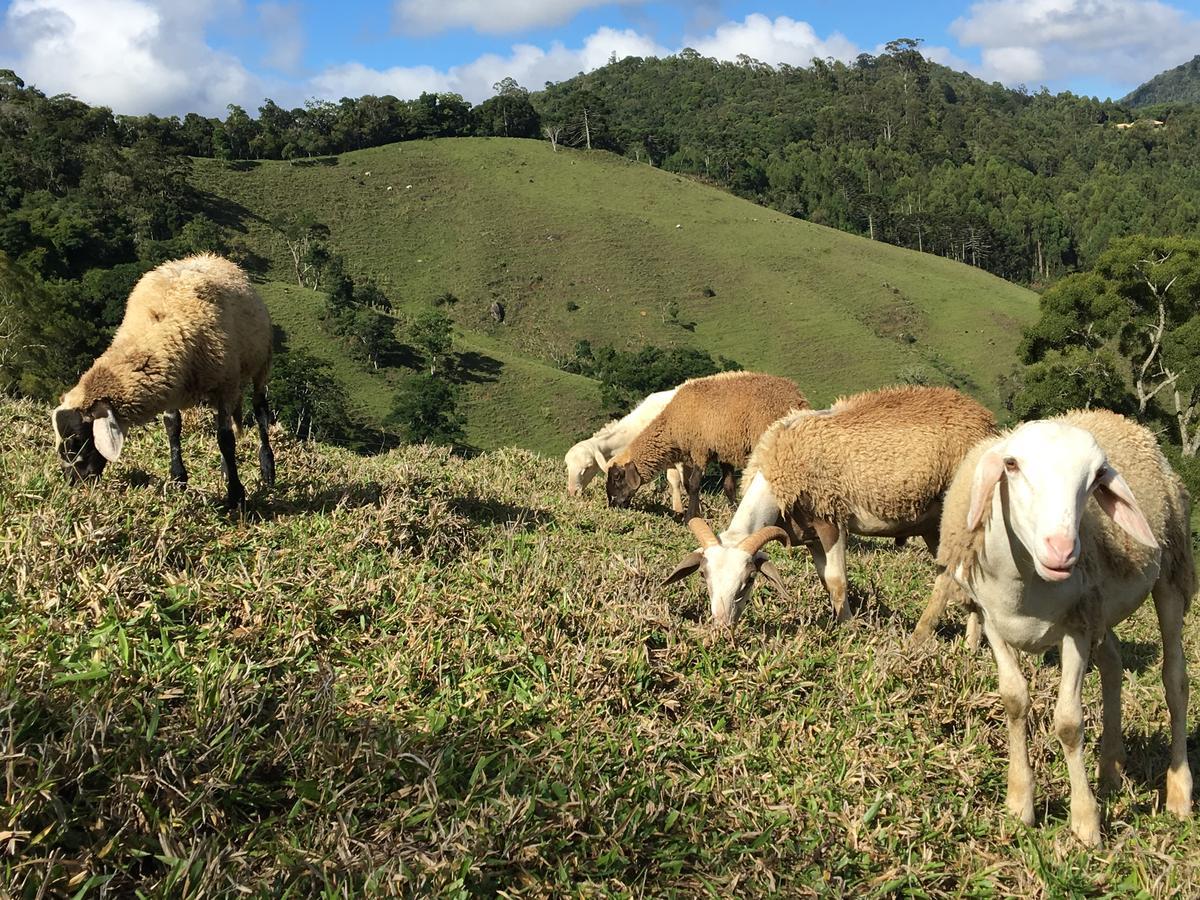 Casa de férias Paraiso Na Montanha, Sitio Siriema *